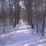 Wielkopolski Park Narodowy